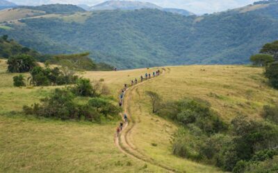 Sani2C