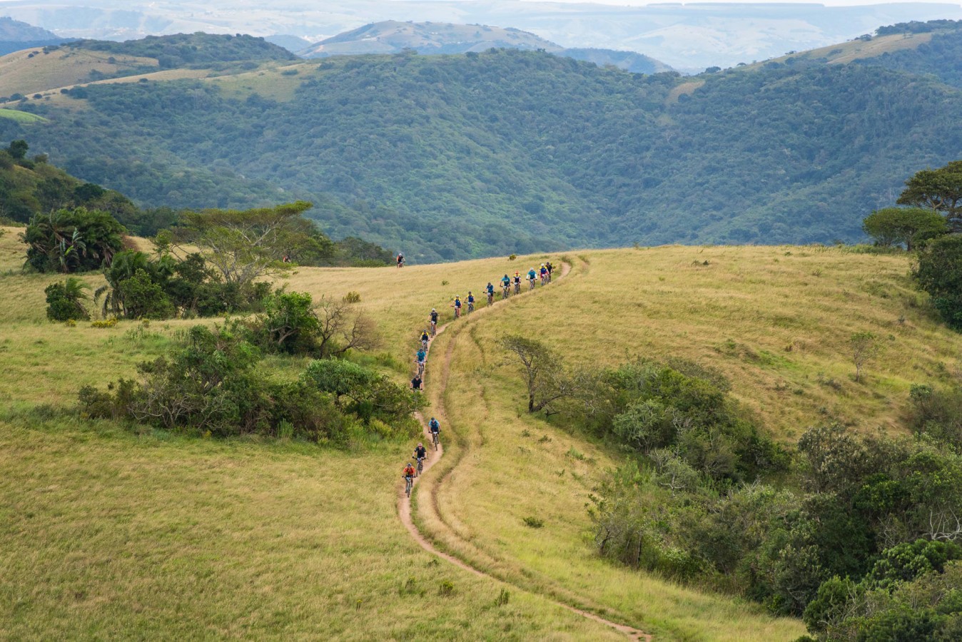 Sani2C (1)